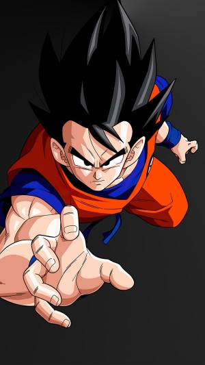 Gohan from Dragon Ball Super
