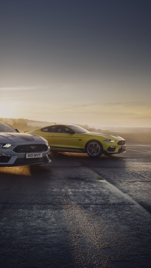 Ford Mustang Mach 1 cars on a road at sunset