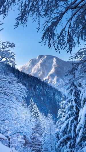 Snow-covered Alps mountains in winter
