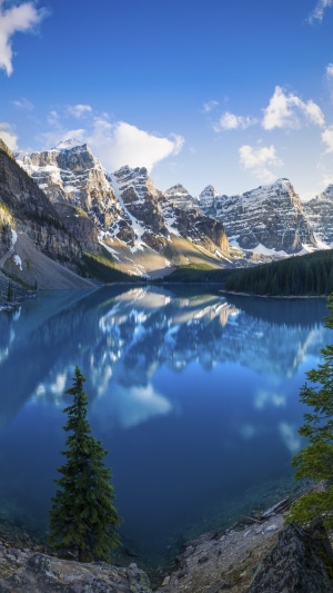 Moraine Lake with snow-capped mountains and pine trees
