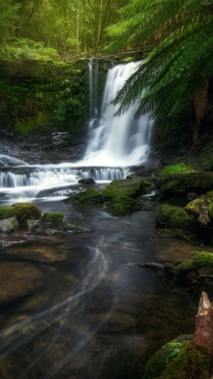 Waterfall in a lush green forest, 4K