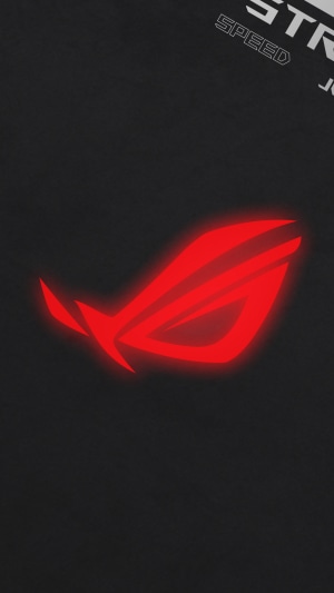 Republic of Gamers logo on black background
