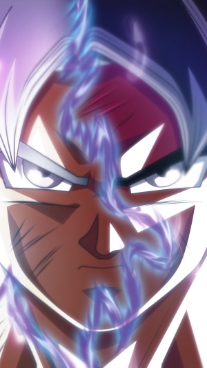 Goku from Dragon Ball Super