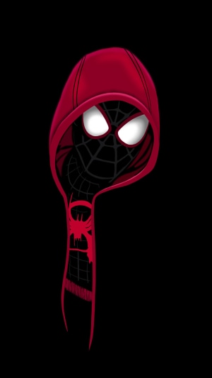 Miles Morales Spider-Man artwork
