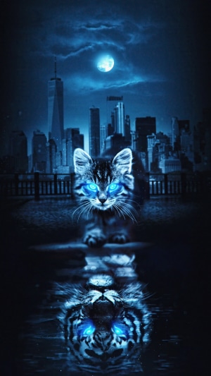 Cat with glowing blue eyes in city at night