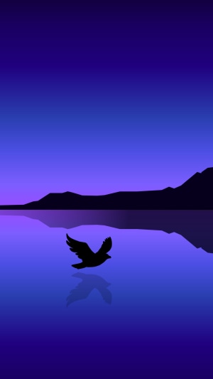 Minimalist bird flying over water at dusk