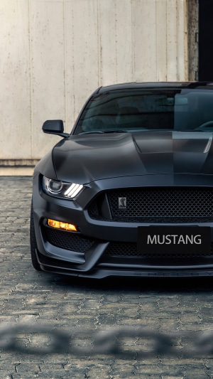 Ford Mustang Shelby GT350 4K