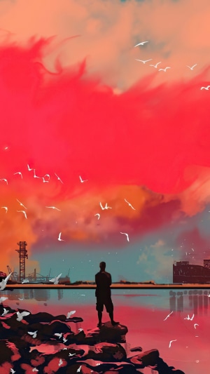 Man standing on rocks watching birds fly at sunset