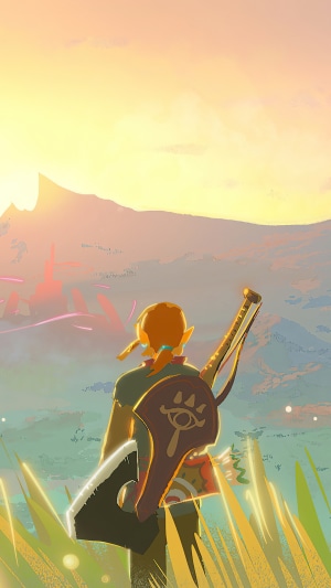 Link from The Legend of Zelda: Breath of the Wild
