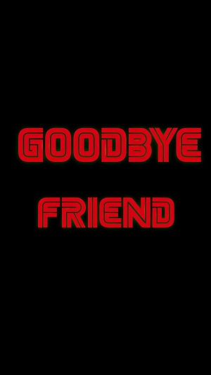 Goodbye Friend typography from Mr. Robot