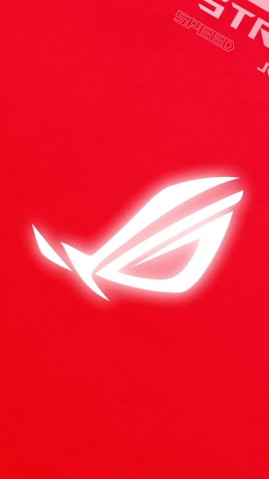 Republic of Gamers logo on red background