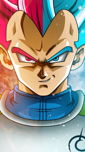 Vegeta from Dragon Ball 4K