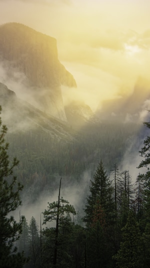 Yosemite National Park 4K