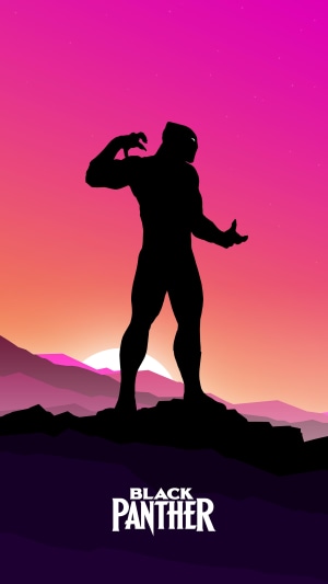 Black Panther silhouette against a sunset sky