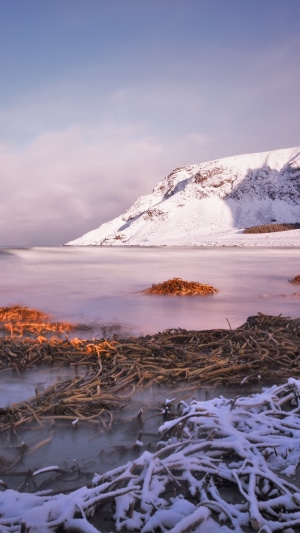 Snowy mountains and coastline with seaweed