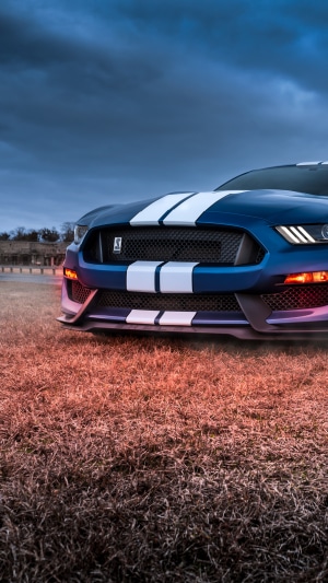Blue Ford Mustang Shelby GT350 4K