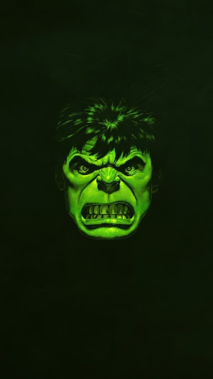 The Hulk from Marvel Comics