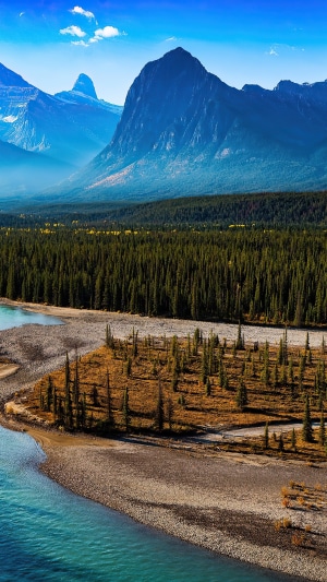 Mountain landscape with forest and river 4K