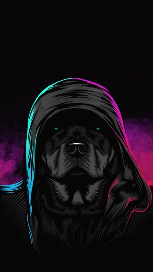 Dog wearing a hood with neon lights