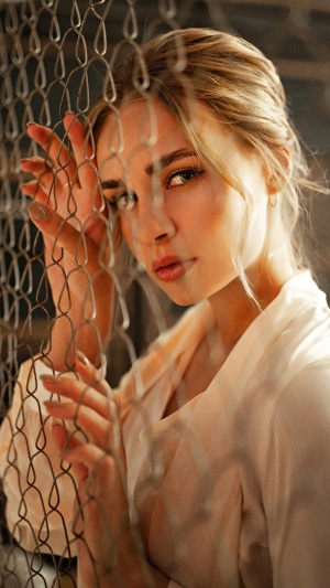 Model behind a fence