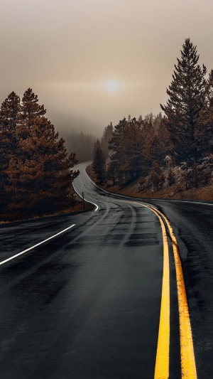 Winding road through a misty forest with sun