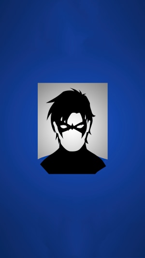 Nightwing minimalist digital art
