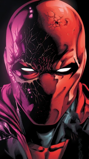 Red Hood artwork 4K