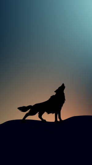 Silhouette of a wolf howling at the sky