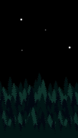 Trees under a starry night sky