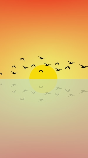 Minimalist flock of birds at sunset over water