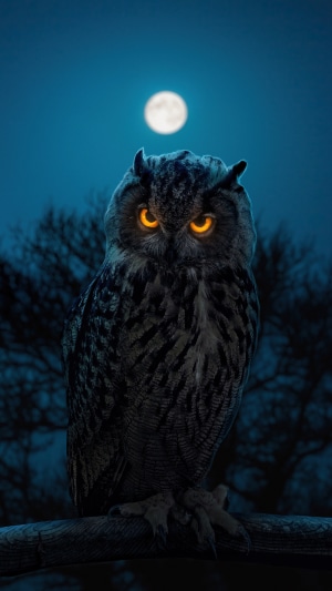 Owl with glowing eyes under the moon