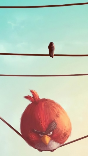 Angry Birds character on a wire with another bird