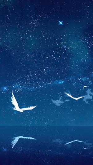 Birds flying in a starry night sky over water
