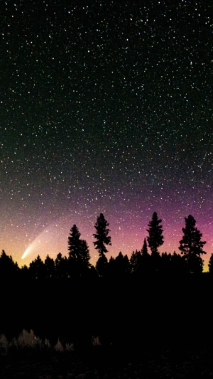 Comet in the night sky over a forest