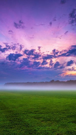 Green field with fog and purple clouds