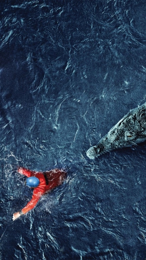 Man swimming near crocodile in dark water 4K
