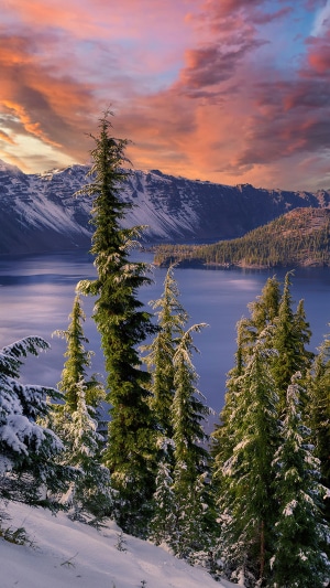 Snowy trees and mountains at Crater Lake during sunset