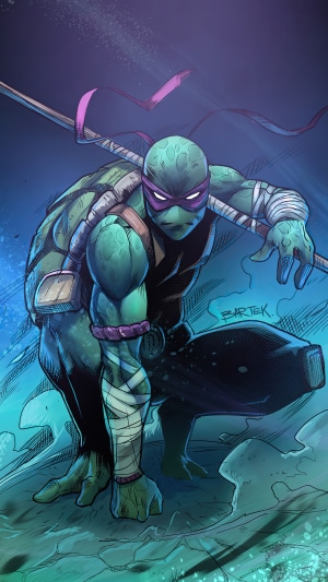 Donatello from Teenage Mutant Ninja Turtles artwork