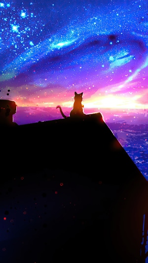 Cat silhouetted on a rooftop under a starry sky