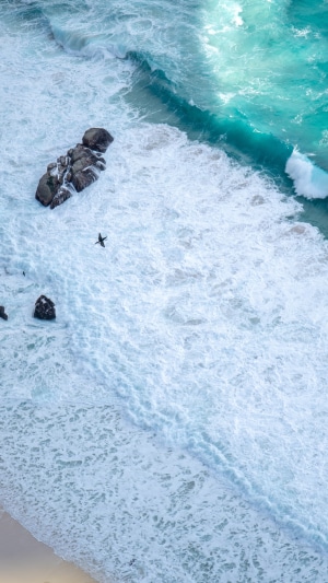 Bird flying over waves near rocks on beach 4K