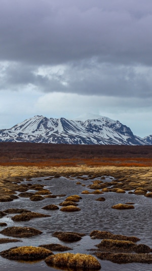 Snow-capped mountains over a marshy landscape in Iceland 4K