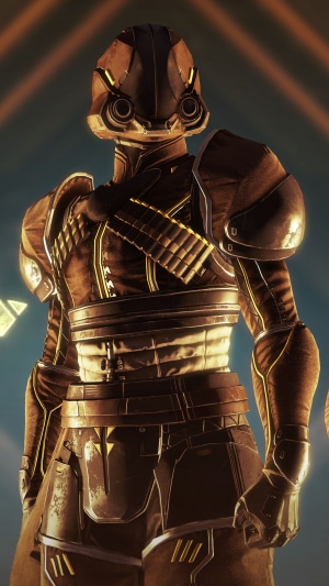 Destiny 2 character in armor