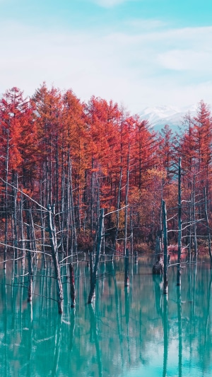 Autumn forest reflected in a blue lake with snow-capped mountains