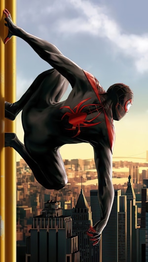 Spider-Man (Miles Morales) on a building