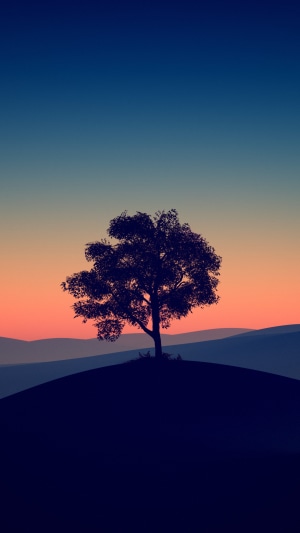 Silhouette of a tree on a hill at sunset