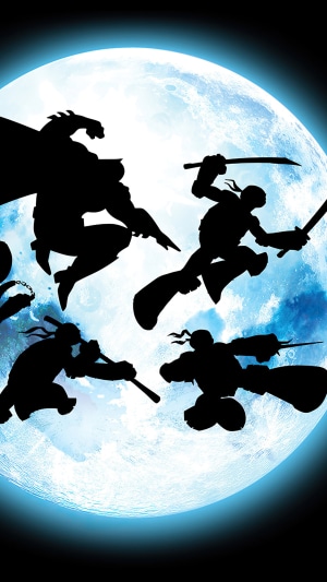 Batman and Teenage Mutant Ninja Turtles fighting in front of moon