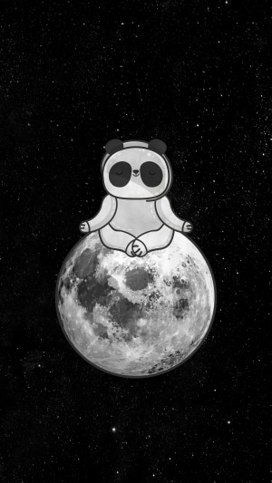 Panda meditating on the moon in space