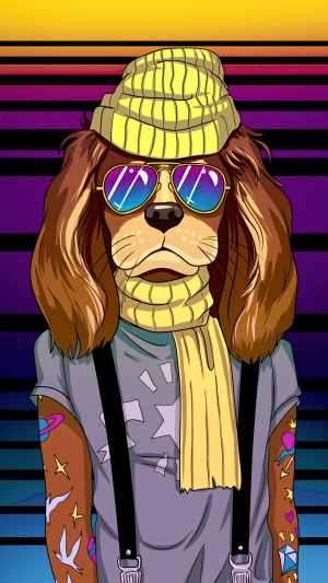 Dog wearing a beanie, sunglasses, and scarf