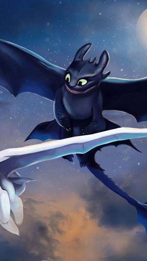Toothless and Light Fury from How to Train Your Dragon