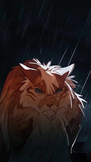 Orange tabby cat in the rain